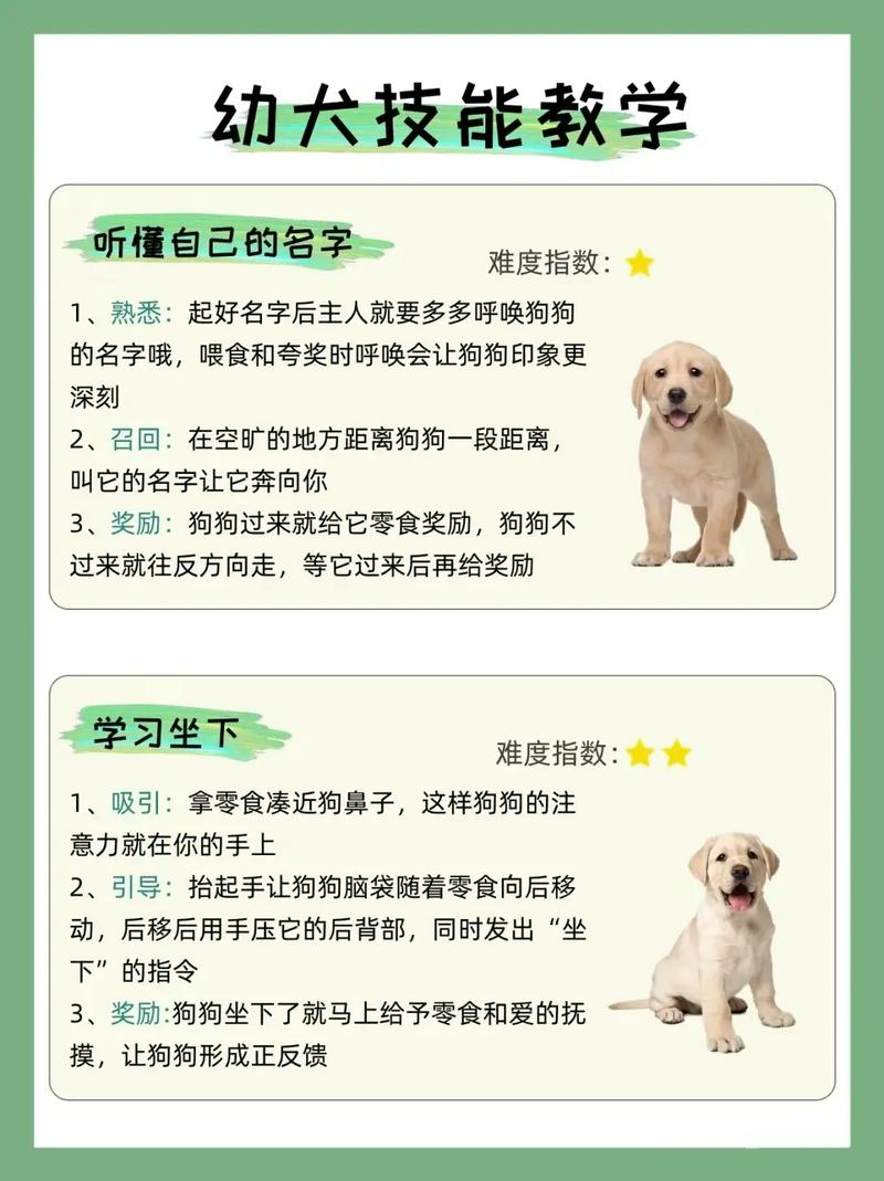 怎样听懂狗狗说话_怎么样才能听懂狗狗说话-第2张图片-后鲨宠物 怎样听懂狗狗说话_怎么样才能听懂狗狗说话-第2张图片-后鲨宠物