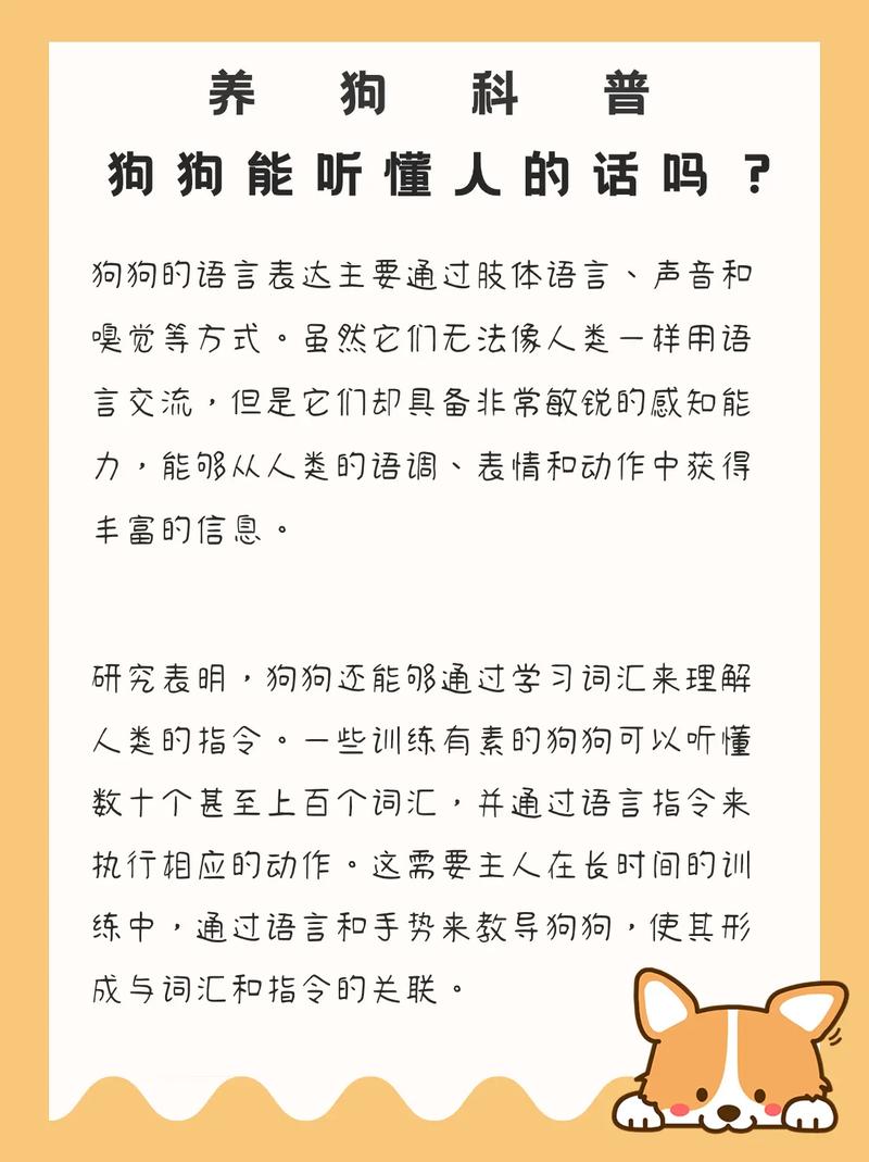 怎样听懂狗狗说话_怎么样才能听懂狗狗说话-第3张图片-后鲨宠物 怎样听懂狗狗说话_怎么样才能听懂狗狗说话-第3张图片-后鲨宠物