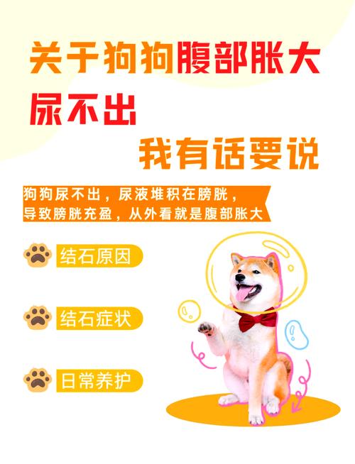 狗狗身上有味道怎么办,狗狗身上有味儿是为什么?-第1张图片-后鲨宠物 狗狗身上有味道怎么办,狗狗身上有味儿是为什么?-第1张图片-后鲨宠物