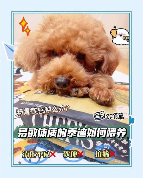 狗狗身上有味道怎么办,狗狗身上有味儿是为什么?-第5张图片-后鲨宠物 狗狗身上有味道怎么办,狗狗身上有味儿是为什么?-第5张图片-后鲨宠物