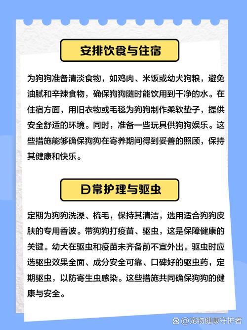 捡到的狗狗要怎么处理,捡来的狗应该怎么办-第4张图片-后鲨宠物 捡到的狗狗要怎么处理,捡来的狗应该怎么办-第4张图片-后鲨宠物