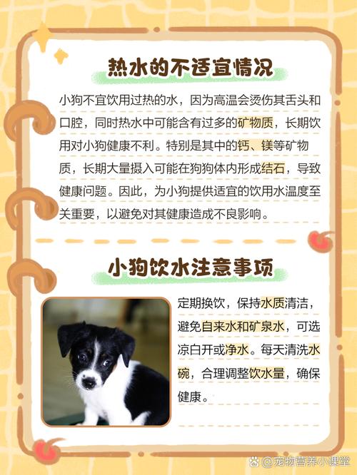 狗狗能喝温水吗,狗子能不能喝温水?-第2张图片-后鲨宠物 狗狗能喝温水吗,狗子能不能喝温水?-第2张图片-后鲨宠物