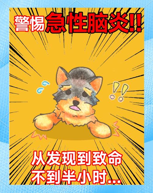 狗狗得脑炎会坚持多久,狗狗得脑炎多长时间会死?-第1张图片-后鲨宠物 狗狗得脑炎会坚持多久,狗狗得脑炎多长时间会死?-第1张图片-后鲨宠物