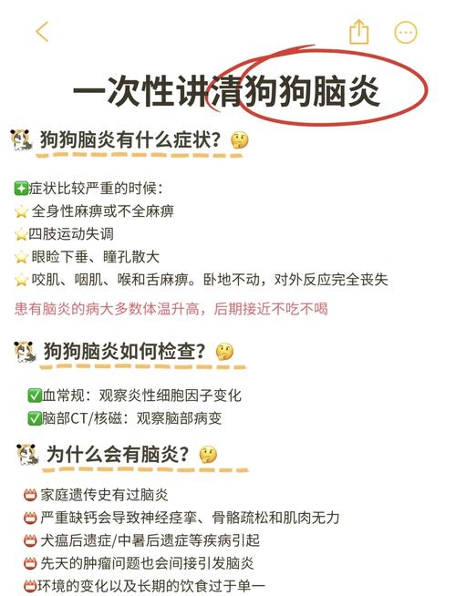 狗狗得脑炎会坚持多久,狗狗得脑炎多长时间会死?-第3张图片-后鲨宠物 狗狗得脑炎会坚持多久,狗狗得脑炎多长时间会死?-第3张图片-后鲨宠物