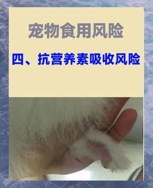 狗狗能吃蛋白吗,狗狗能不能吃蛋白和蛋黄呢-第4张图片-后鲨宠物 狗狗能吃蛋白吗,狗狗能不能吃蛋白和蛋黄呢-第4张图片-后鲨宠物