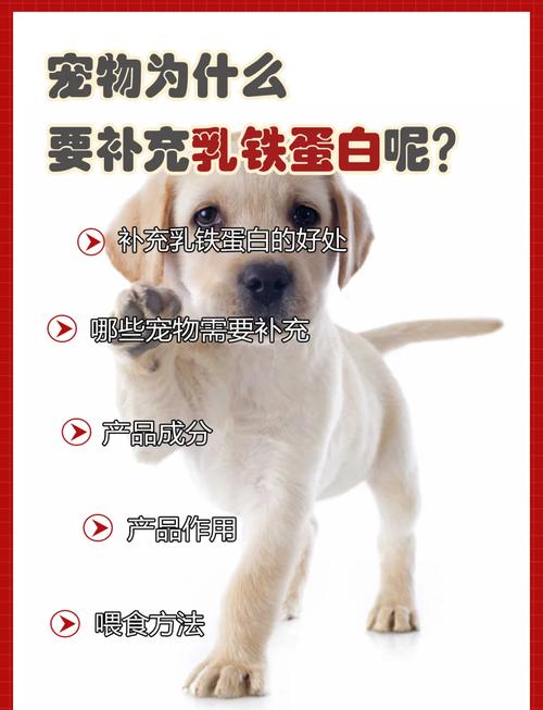 狗狗能吃蛋白吗,狗狗能不能吃蛋白和蛋黄呢-第6张图片-后鲨宠物 狗狗能吃蛋白吗,狗狗能不能吃蛋白和蛋黄呢-第6张图片-后鲨宠物