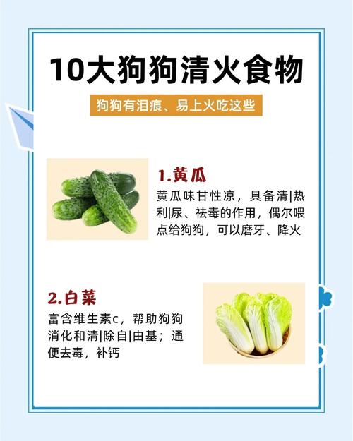 狗狗可以喝菊花水吗,狗狗可以喝菊花水吗一天几次-第1张图片-后鲨宠物 狗狗可以喝菊花水吗,狗狗可以喝菊花水吗一天几次-第1张图片-后鲨宠物