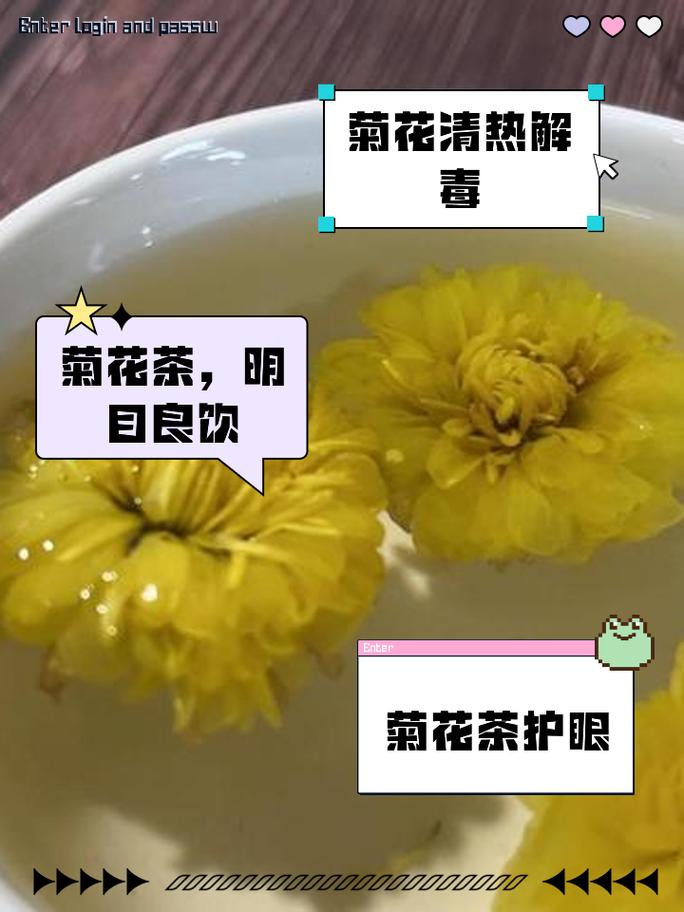 狗狗可以喝菊花水吗,狗狗可以喝菊花水吗一天几次-第2张图片-后鲨宠物 狗狗可以喝菊花水吗,狗狗可以喝菊花水吗一天几次-第2张图片-后鲨宠物