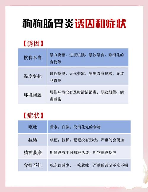 狗狗肠炎不吃东西怎么办,狗狗肠炎只吐不拉不吃东西是咋回事-第1张图片-后鲨宠物 狗狗肠炎不吃东西怎么办,狗狗肠炎只吐不拉不吃东西是咋回事-第1张图片-后鲨宠物