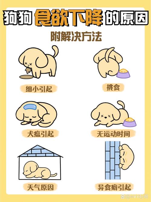 狗狗肠炎不吃东西怎么办,狗狗肠炎只吐不拉不吃东西是咋回事-第5张图片-后鲨宠物 狗狗肠炎不吃东西怎么办,狗狗肠炎只吐不拉不吃东西是咋回事-第5张图片-后鲨宠物