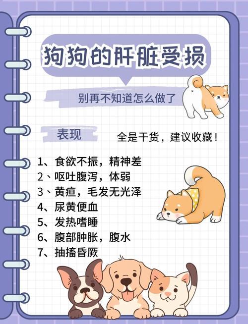 狗狗肝损伤的症状_狗狗肝损伤的症状有哪些-第4张图片-后鲨宠物 狗狗肝损伤的症状_狗狗肝损伤的症状有哪些-第4张图片-后鲨宠物
