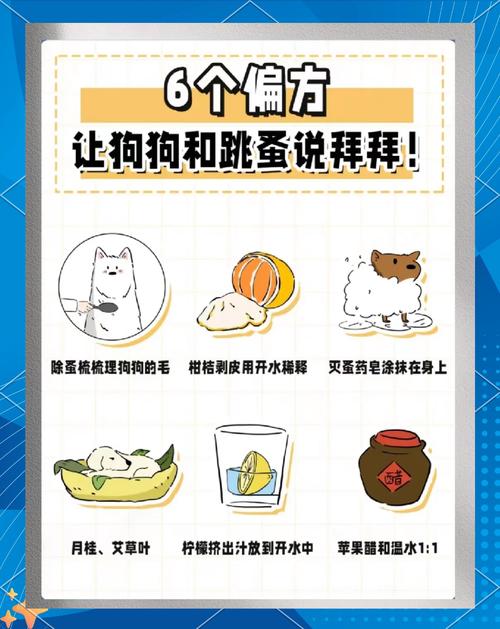 狗狗身上有跳蚤用什么药,狗狗身上有跳蚤用什么药去除-第4张图片-后鲨宠物 狗狗身上有跳蚤用什么药,狗狗身上有跳蚤用什么药去除-第4张图片-后鲨宠物