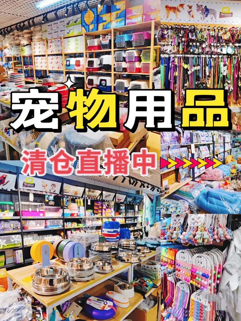 养狗狗需要准备什么,养狗需要准备什么东西和用品?-第1张图片-后鲨宠物 养狗狗需要准备什么,养狗需要准备什么东西和用品?-第1张图片-后鲨宠物