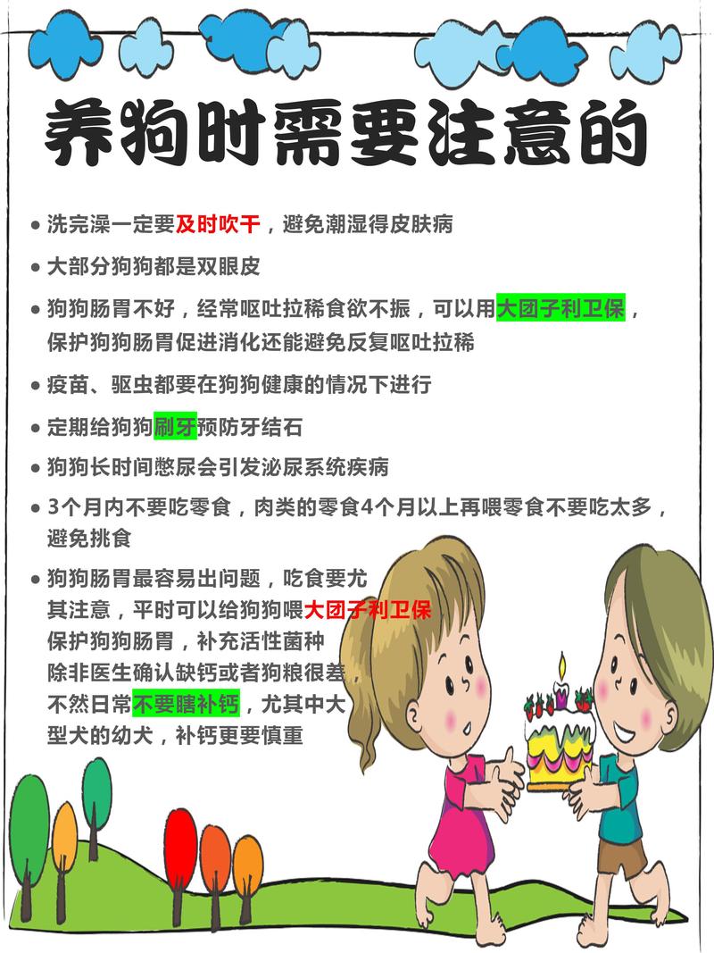 养狗狗需要准备什么,养狗需要准备什么东西和用品?-第3张图片-后鲨宠物 养狗狗需要准备什么,养狗需要准备什么东西和用品?-第3张图片-后鲨宠物