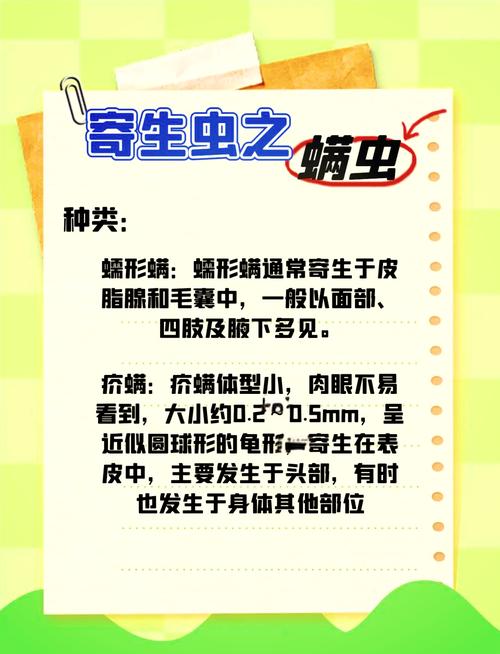 狗狗去螨虫的土方法_狗狗怎么去螨-第6张图片-后鲨宠物 狗狗去螨虫的土方法_狗狗怎么去螨-第6张图片-后鲨宠物