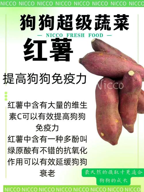 狗狗吃红薯有什么好处_狗狗吃红薯有什么好处和功效-第3张图片-后鲨宠物 狗狗吃红薯有什么好处_狗狗吃红薯有什么好处和功效-第3张图片-后鲨宠物