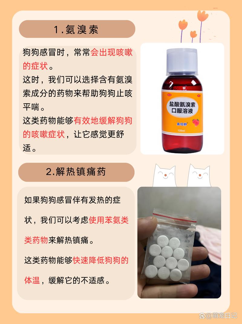  狗狗感冒了能吃人的药吗，狗狗感冒了能吃人的药吗-第4张图片-后鲨宠物