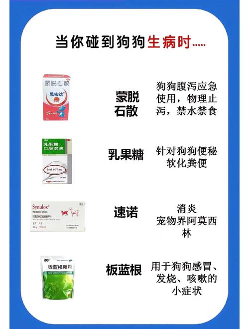 狗狗能喝感冒冲剂吗_狗狗可以喝感冒灵颗粒吗-第1张图片-后鲨宠物 狗狗能喝感冒冲剂吗_狗狗可以喝感冒灵颗粒吗-第1张图片-后鲨宠物