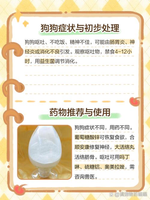  狗狗呕吐没精神怎么办，狗狗呕吐还没精神-第5张图片-后鲨宠物