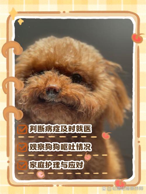  狗狗呕吐没精神怎么办，狗狗呕吐还没精神-第6张图片-后鲨宠物