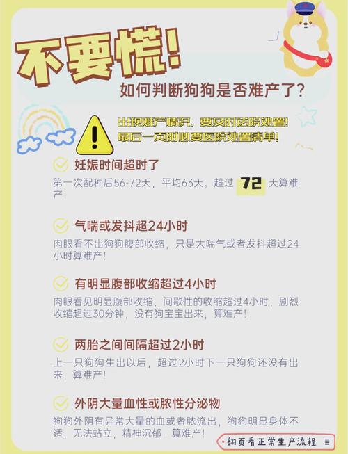 狗狗怀孕多久生,狗狗怀孕多久生宝宝正常-第2张图片-后鲨宠物 狗狗怀孕多久生,狗狗怀孕多久生宝宝正常-第2张图片-后鲨宠物