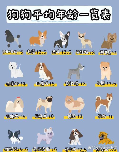 狗狗的正常温度,狗狗的正常温度范围?-第5张图片-后鲨宠物 狗狗的正常温度,狗狗的正常温度范围?-第5张图片-后鲨宠物