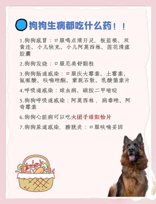 怎么喂狗狗吃药,怎么喂狗狗吃药片-第2张图片-后鲨宠物 怎么喂狗狗吃药,怎么喂狗狗吃药片-第2张图片-后鲨宠物