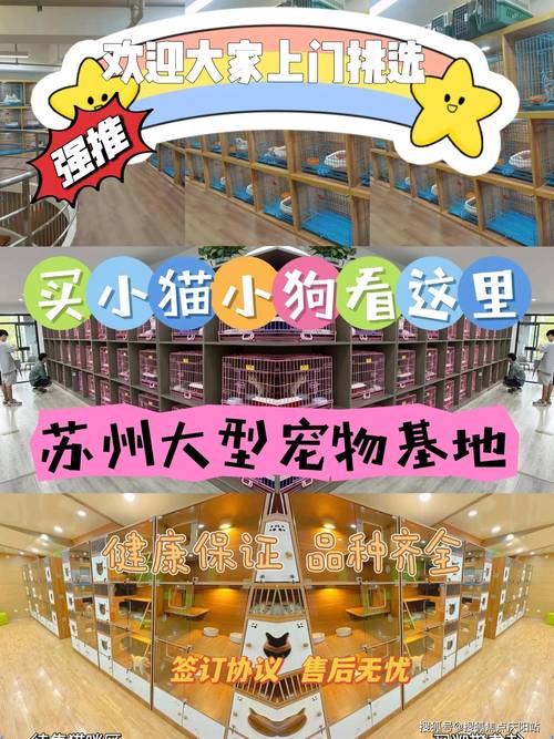 狗狗取异物手术多少钱,狗狗取异物手术多少钱一次-第3张图片-后鲨宠物 狗狗取异物手术多少钱,狗狗取异物手术多少钱一次-第3张图片-后鲨宠物