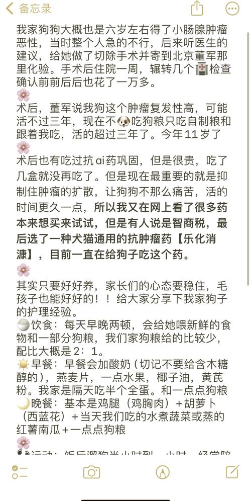 狗狗取异物手术多少钱,狗狗取异物手术多少钱一次-第4张图片-后鲨宠物 狗狗取异物手术多少钱,狗狗取异物手术多少钱一次-第4张图片-后鲨宠物