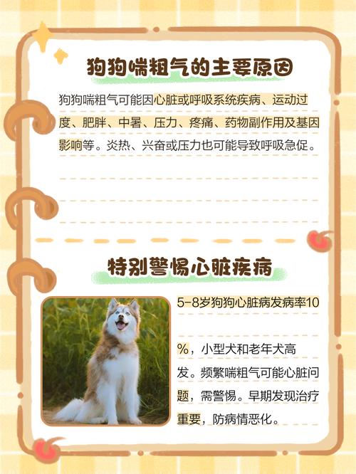 狗狗喘粗气是怎么回事,狗狗喘粗气是怎么回事吃什么药-第6张图片-后鲨宠物 狗狗喘粗气是怎么回事,狗狗喘粗气是怎么回事吃什么药-第6张图片-后鲨宠物