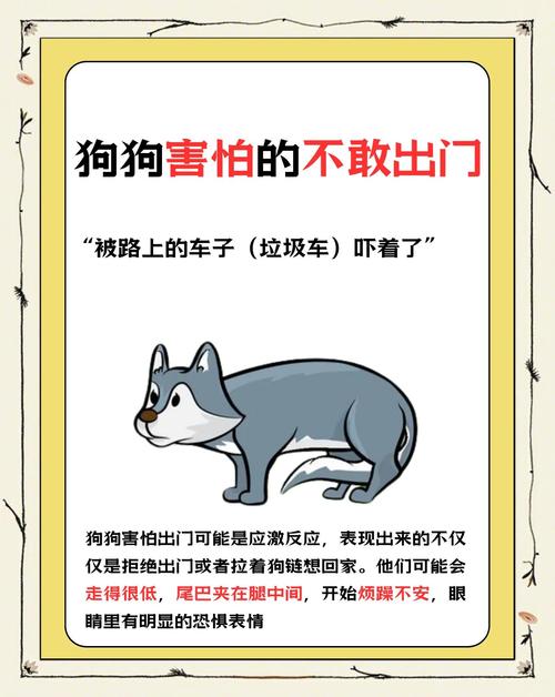 狗狗不敢出门怎么办_狗狗不肯出门还很恐惧-第3张图片-后鲨宠物 狗狗不敢出门怎么办_狗狗不肯出门还很恐惧-第3张图片-后鲨宠物