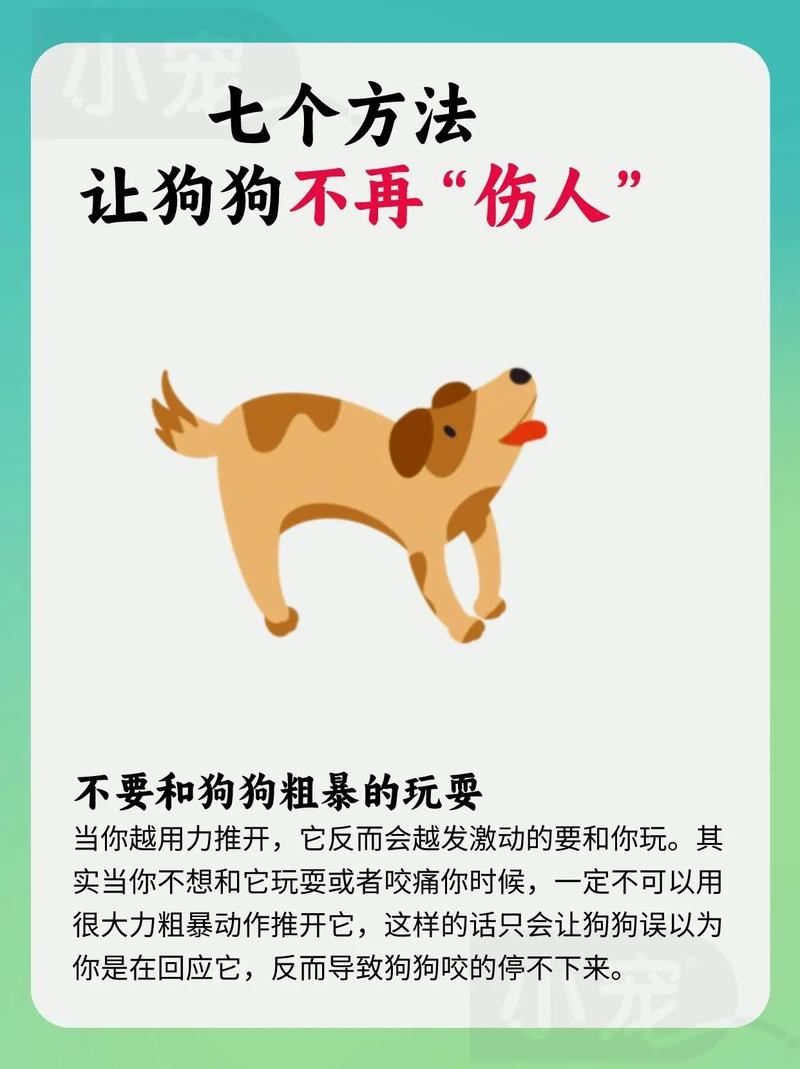 狗狗不敢出门怎么办_狗狗不肯出门还很恐惧-第6张图片-后鲨宠物 狗狗不敢出门怎么办_狗狗不肯出门还很恐惧-第6张图片-后鲨宠物