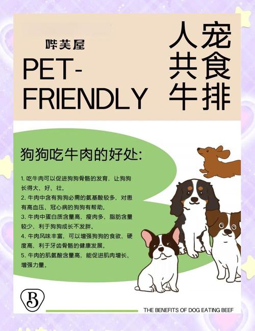 狗狗能吃牛肉吗,狗狗吃牛肉吗会中毒吗?-第1张图片-后鲨宠物 狗狗能吃牛肉吗,狗狗吃牛肉吗会中毒吗?-第1张图片-后鲨宠物