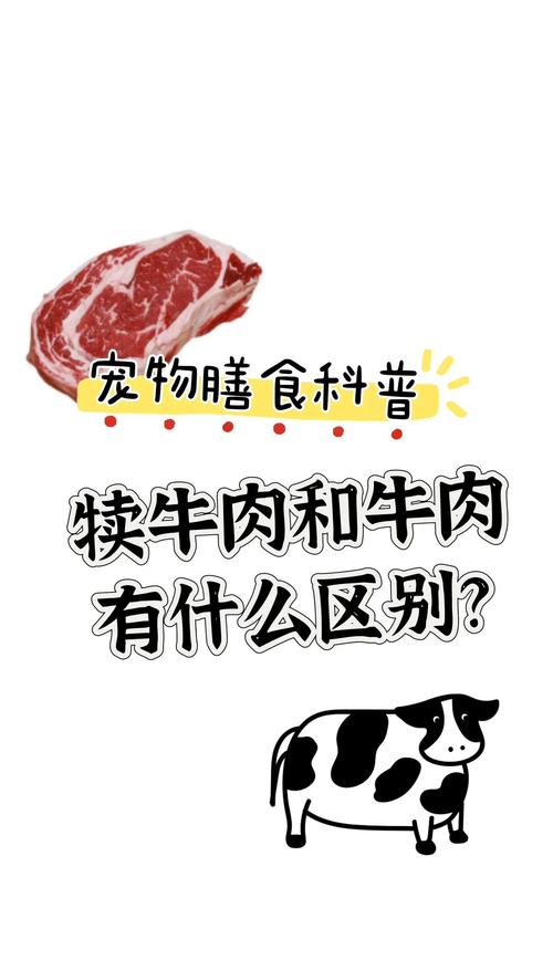 狗狗能吃牛肉吗,狗狗吃牛肉吗会中毒吗?-第2张图片-后鲨宠物 狗狗能吃牛肉吗,狗狗吃牛肉吗会中毒吗?-第2张图片-后鲨宠物