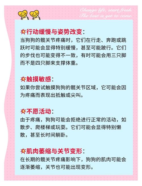 治疗狗狗髋关节的药物,治疗狗狗髋关节的药物是什么?-第3张图片-后鲨宠物 治疗狗狗髋关节的药物,治疗狗狗髋关节的药物是什么?-第3张图片-后鲨宠物
