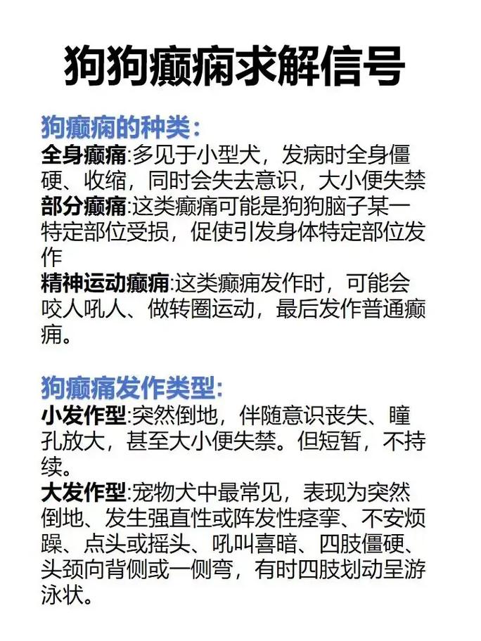 狗狗癫疯怎么判断_狗狗癫疯病的早期症状-第1张图片-后鲨宠物