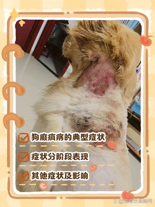 狗狗癫疯怎么判断_狗狗癫疯病的早期症状-第4张图片-后鲨宠物