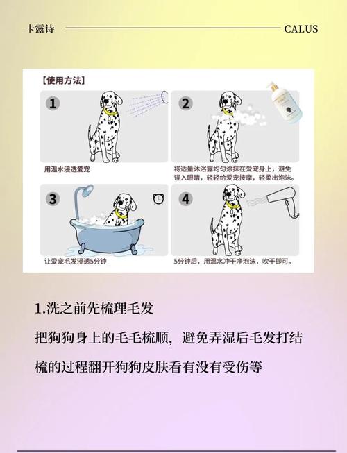 给狗狗洗澡注意事项,给狗洗澡要注意事项?-第1张图片-后鲨宠物 给狗狗洗澡注意事项,给狗洗澡要注意事项?-第1张图片-后鲨宠物