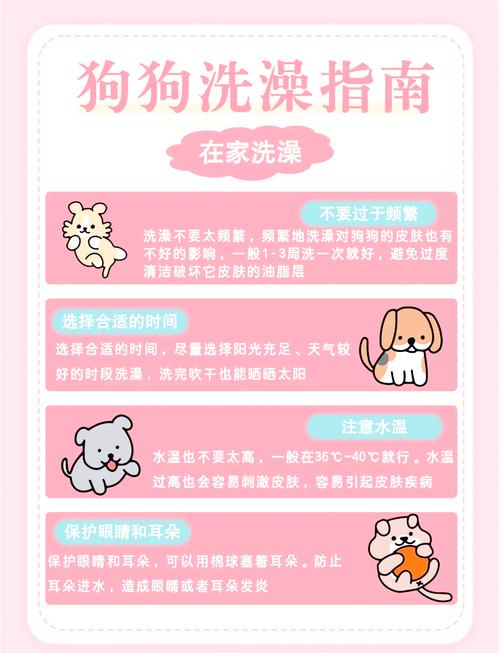 给狗狗洗澡注意事项,给狗洗澡要注意事项?-第5张图片-后鲨宠物 给狗狗洗澡注意事项,给狗洗澡要注意事项?-第5张图片-后鲨宠物