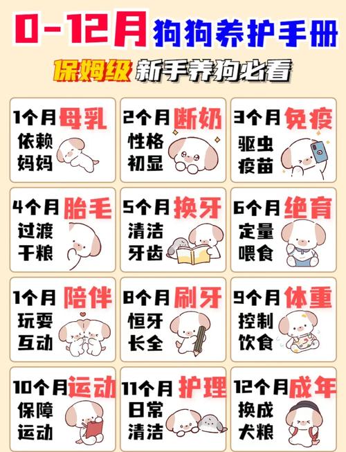 狗狗多少天下崽,泰迪怀孕多少天生小狗-第4张图片-后鲨宠物 狗狗多少天下崽,泰迪怀孕多少天生小狗-第4张图片-后鲨宠物