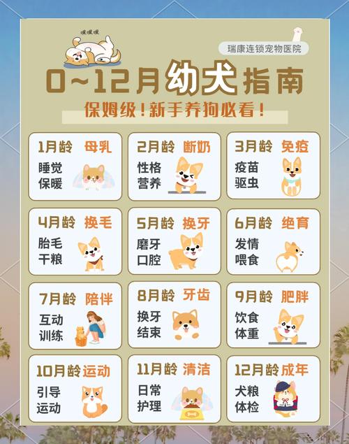 狗狗多少天下崽,泰迪怀孕多少天生小狗-第5张图片-后鲨宠物 狗狗多少天下崽,泰迪怀孕多少天生小狗-第5张图片-后鲨宠物