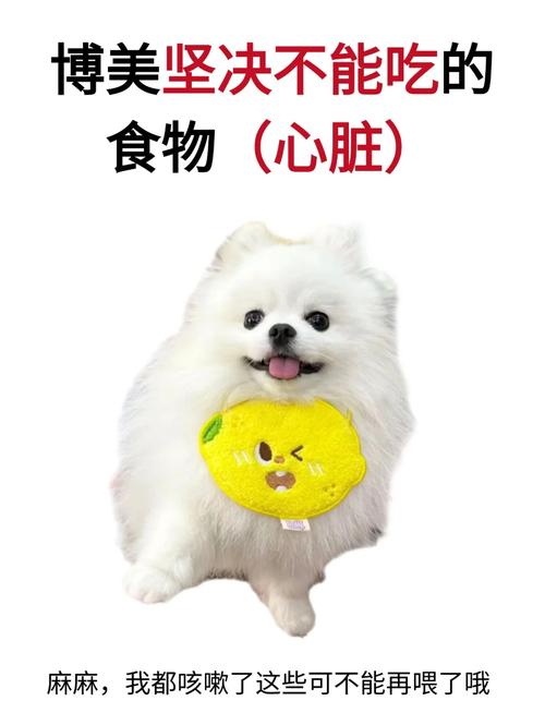 狗狗可以吃绿豆雪糕吗,狗狗能不能吃绿豆雪糕-第3张图片-后鲨宠物 狗狗可以吃绿豆雪糕吗,狗狗能不能吃绿豆雪糕-第3张图片-后鲨宠物