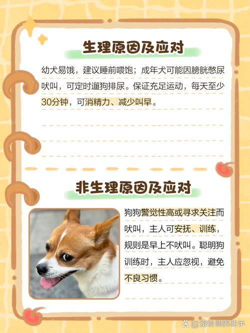 狗狗乱叫怎么办,小区晚上狗狗乱叫怎么办?-第5张图片-后鲨宠物 狗狗乱叫怎么办,小区晚上狗狗乱叫怎么办?-第5张图片-后鲨宠物