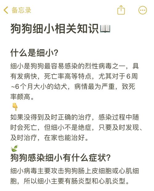 狗狗感染细小的症状,狗狗感染细小的症状图片-第1张图片-后鲨宠物 狗狗感染细小的症状,狗狗感染细小的症状图片-第1张图片-后鲨宠物