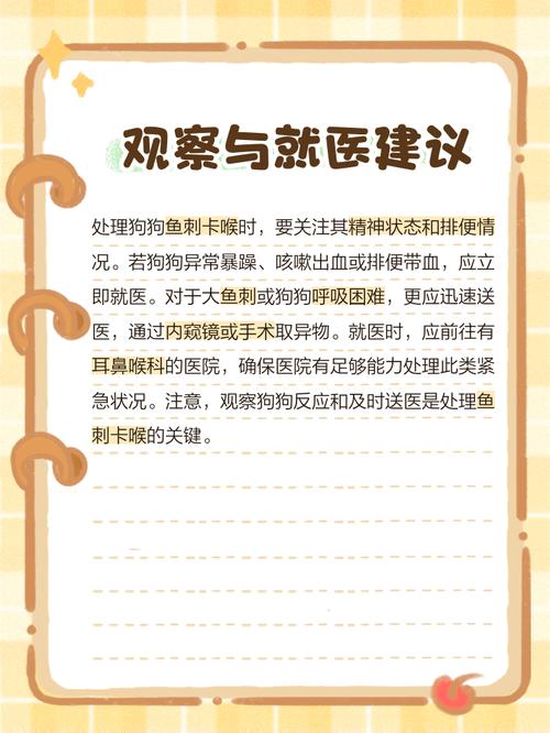 狗狗吃了鱼刺怎么办_狗狗吃了鱼刺怎么办咽下去-第1张图片-后鲨宠物 狗狗吃了鱼刺怎么办_狗狗吃了鱼刺怎么办咽下去-第1张图片-后鲨宠物