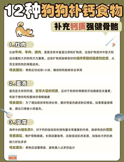 狗狗补钙吃什么，狗狗补钙吃什么好？-第1张图片-后鲨宠物