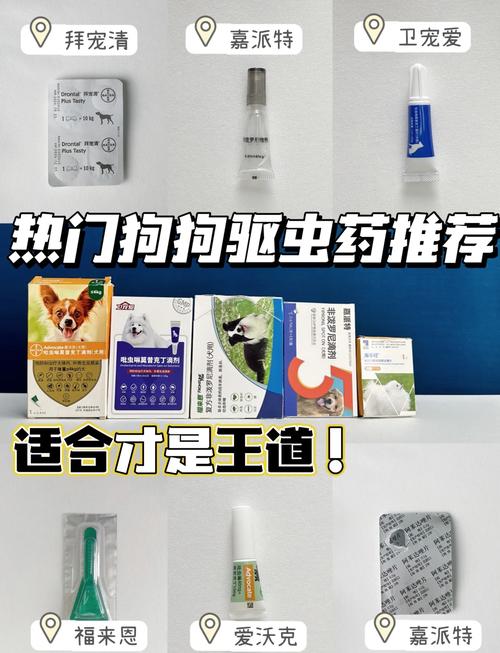 狗狗杀虫剂中毒的症状,狗狗杀虫剂中毒的症状表现?-第1张图片-后鲨宠物 狗狗杀虫剂中毒的症状,狗狗杀虫剂中毒的症状表现?-第1张图片-后鲨宠物