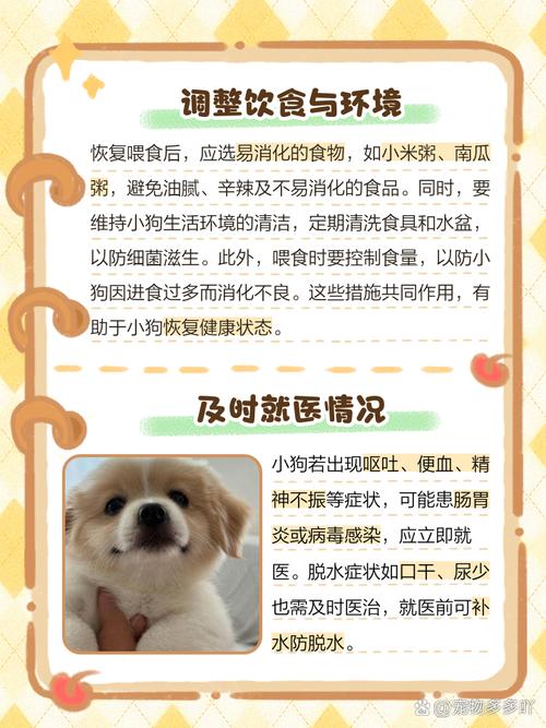 刚满月的狗狗拉稀怎么办,刚刚满月的狗狗拉稀应该怎样治疗-第1张图片-后鲨宠物 刚满月的狗狗拉稀怎么办,刚刚满月的狗狗拉稀应该怎样治疗-第1张图片-后鲨宠物