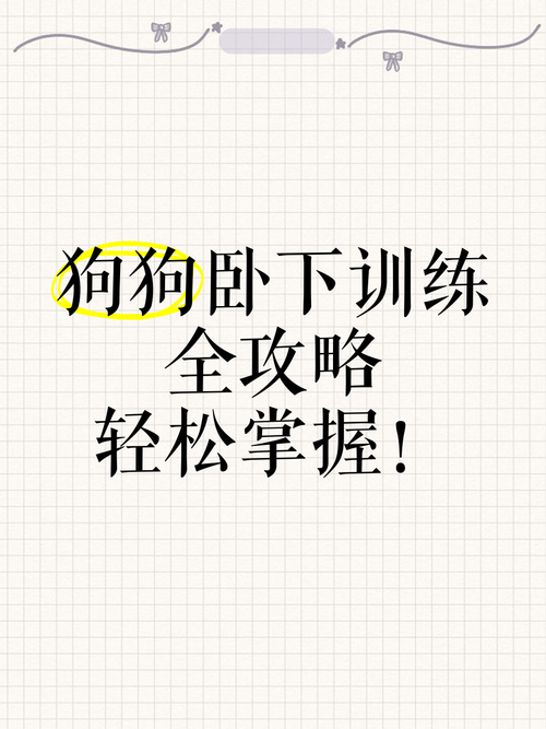 怎么训练狗狗趴下,如何让狗狗学会趴下?-第1张图片-后鲨宠物 怎么训练狗狗趴下,如何让狗狗学会趴下?-第1张图片-后鲨宠物