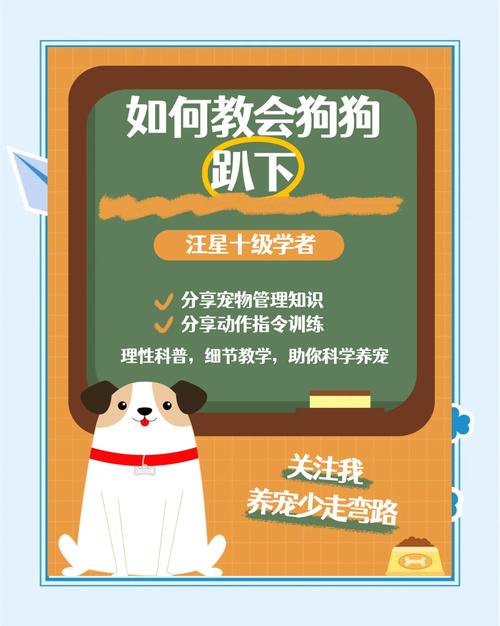 怎么训练狗狗趴下,如何让狗狗学会趴下?-第2张图片-后鲨宠物 怎么训练狗狗趴下,如何让狗狗学会趴下?-第2张图片-后鲨宠物